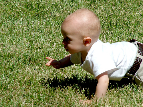 Несчастный малыш фото. Можно ребенку в 8 месяцев ползать по траве. Как раньше называли ребенка который начал ползать